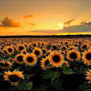 Meet your Posher, Gabrielle